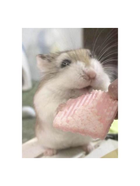 2018/02/12 和歌山県 M様