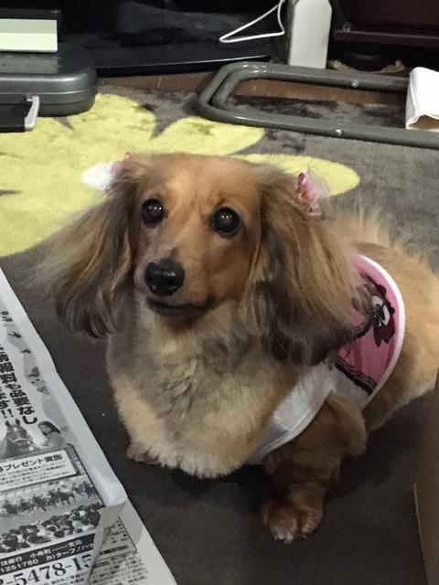 2018/02/14 山口県 M様