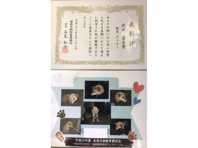 の2019/08/08 兵庫県 武部様