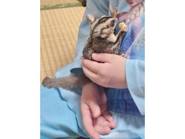 2025/04/01 T様