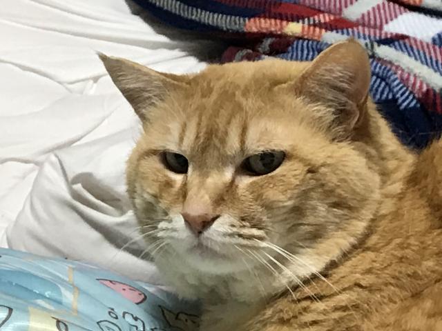 2025/04/02 A様