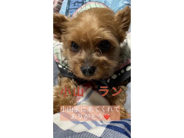 2025/04/21 K様