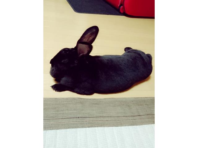 の2025/05/14 H様