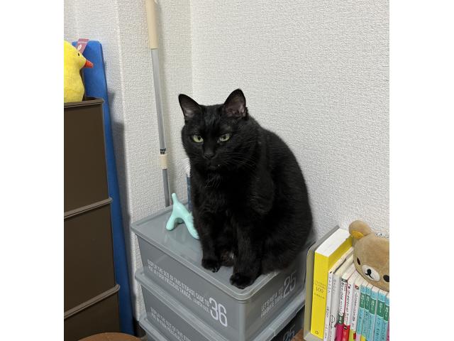 2025/06/15 M様