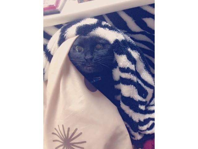 2025/06/20 S様