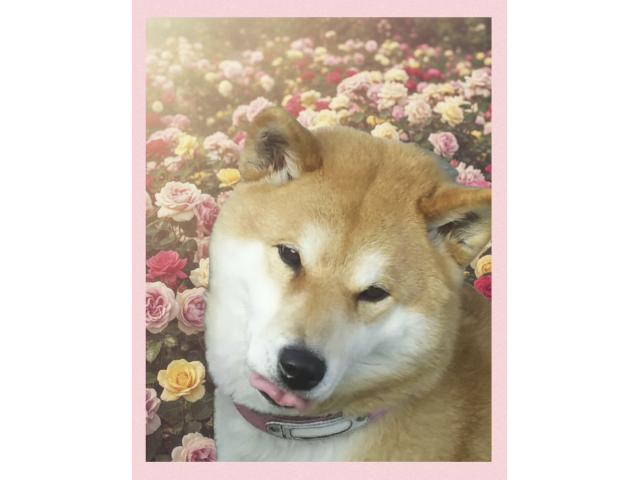 2026/05/25 T様