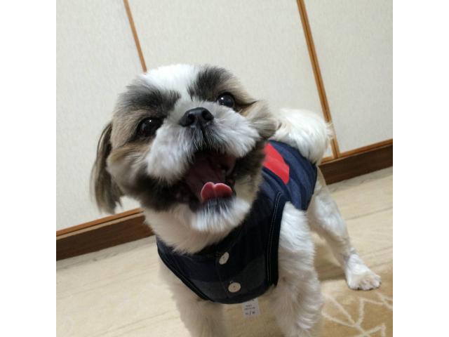 2026/06/01 F様