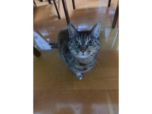 2026/06/16 H様