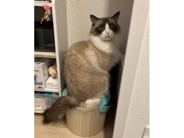 2026/06/30 K様