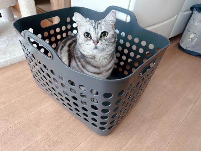 2026/07/11 H様