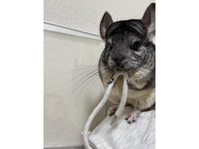 2026/08/17 K様