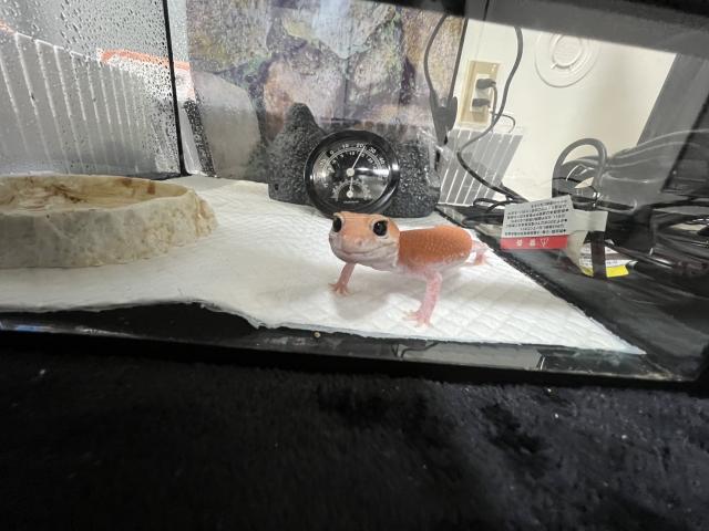 2026/08/28 K様
