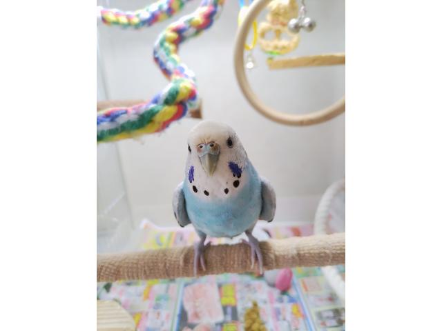 2026/09/18 O様