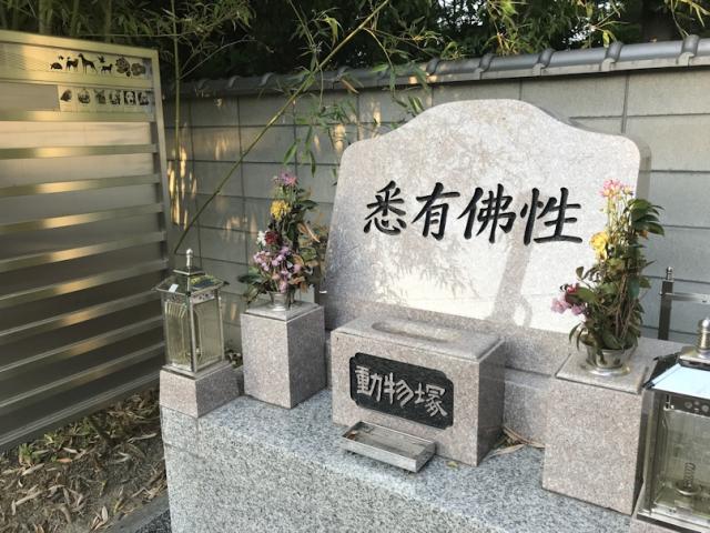 尼崎市 広済寺