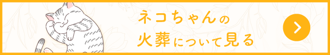 ネコちゃんの火葬について見る