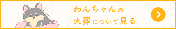 わんちゃんの火葬について見る